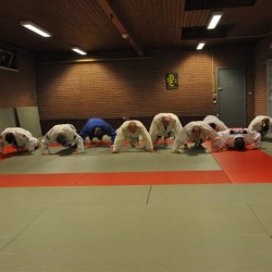 DSC 0063  Medium - Judoclub Zaventem 